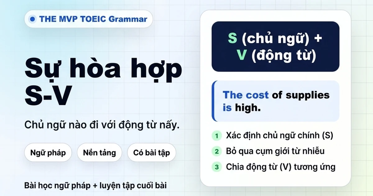 Minh họa bài học ngữ pháp về sự hòa hợp giữa chủ ngữ và động từ trong tiếng Anh.